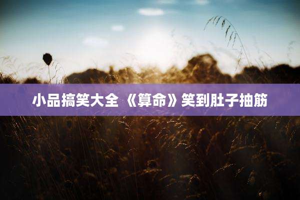 小品搞笑大全 《算命》笑到肚子抽筋