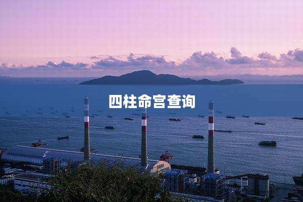 四柱命宫查询