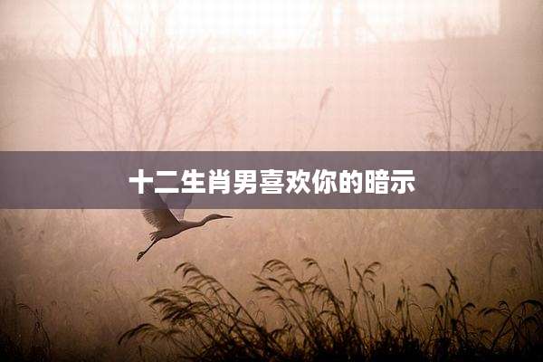 十二生肖男喜欢你的暗示