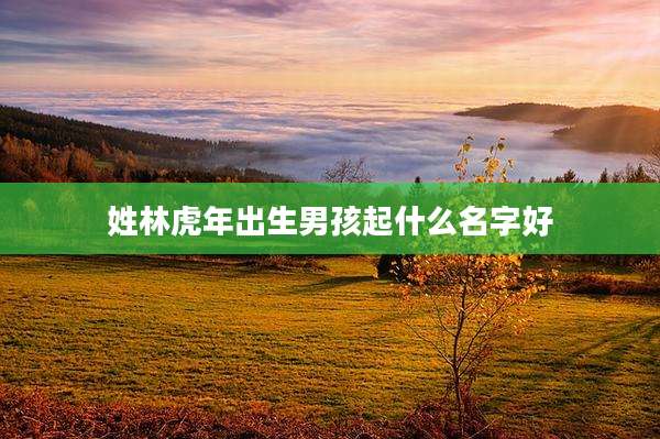 姓林虎年出生男孩起什么名字好