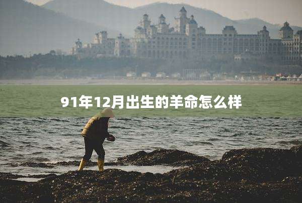 91年12月出生的羊命怎么样