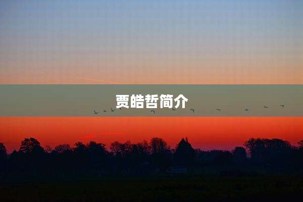贾皓哲简介