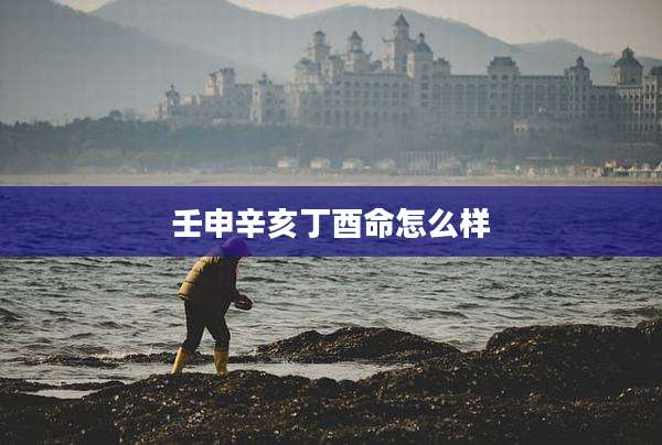 壬申辛亥丁酉命怎么样