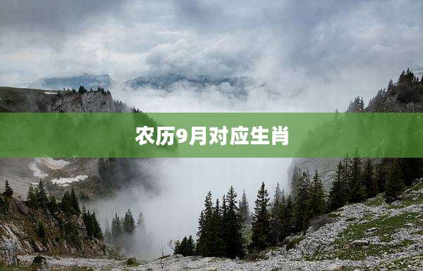农历9月对应生肖