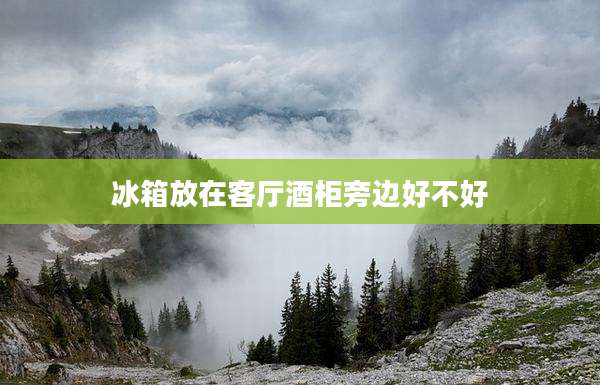 冰箱放在客厅酒柜旁边好不好