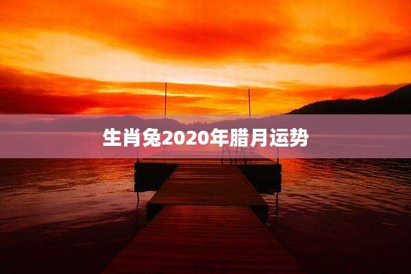生肖兔2020年腊月运势