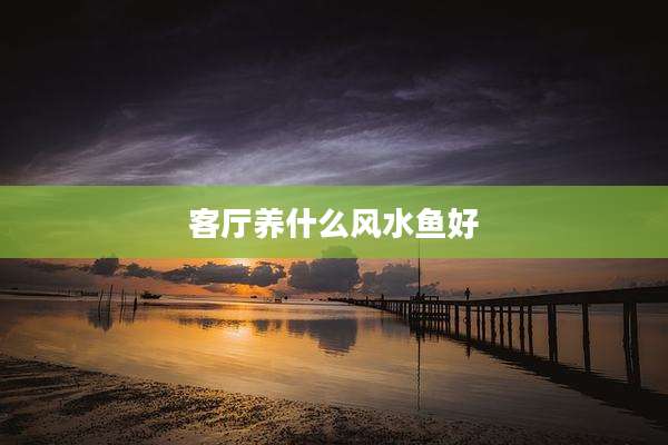客厅养什么风水鱼好