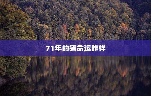 71年的猪命运咋样