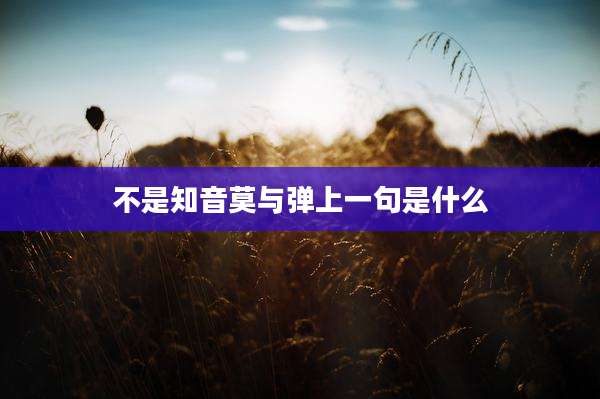 不是知音莫与弹上一句是什么