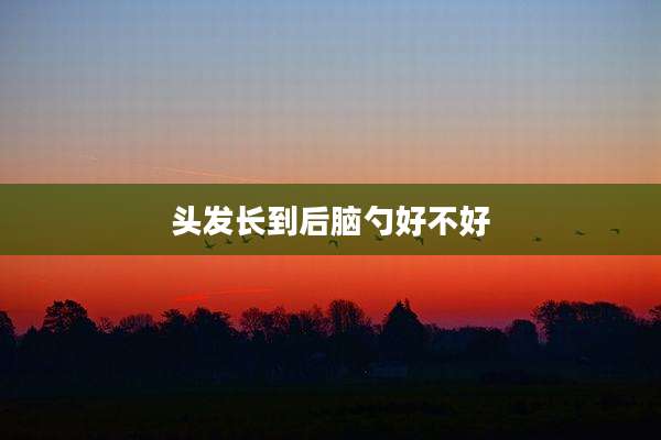 头发长到后脑勺好不好