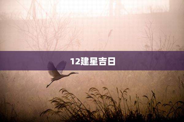 12建星吉日