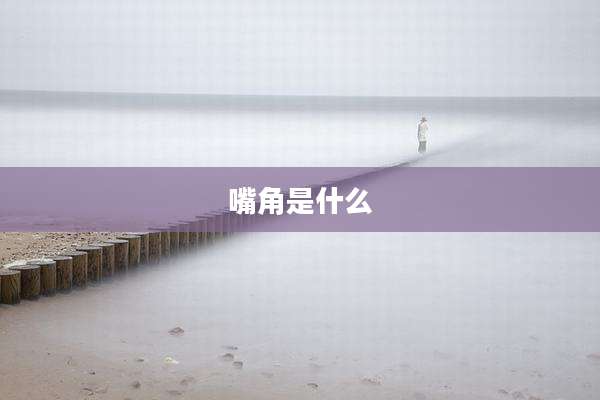 嘴角是什么
