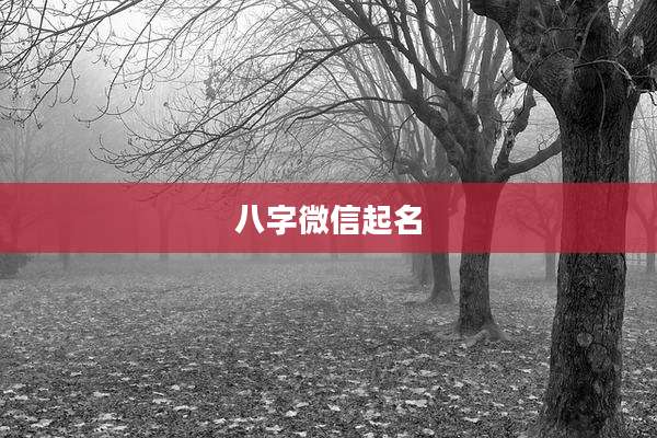 八字微信起名