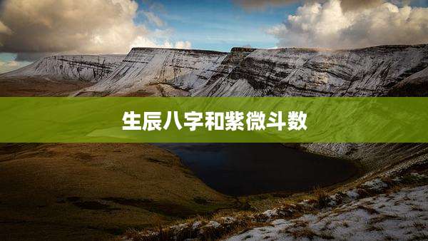 生辰八字和紫微斗数