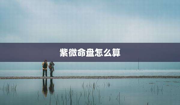 紫微命盘怎么算