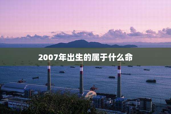 2007年出生的属于什么命