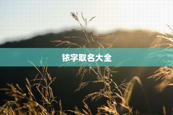 铱字取名大全