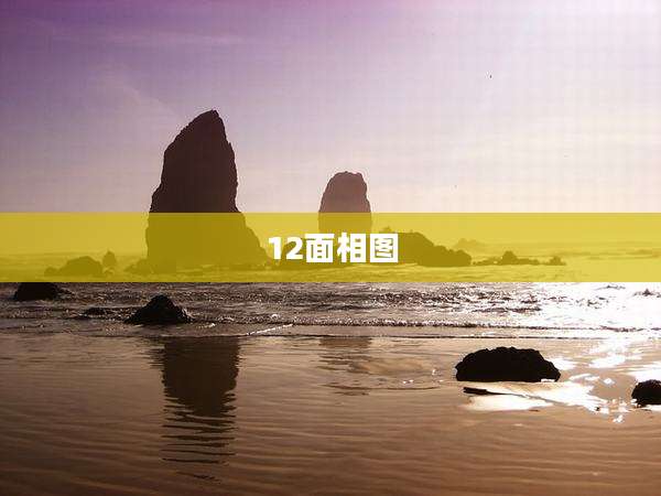 12面相图