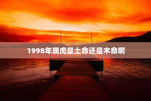 1998年属虎是土命还是木命啊