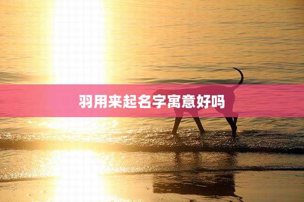 羽用来起名字寓意好吗