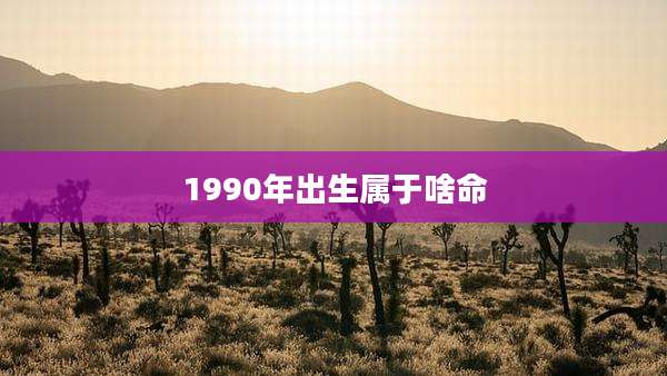 1990年出生属于啥命