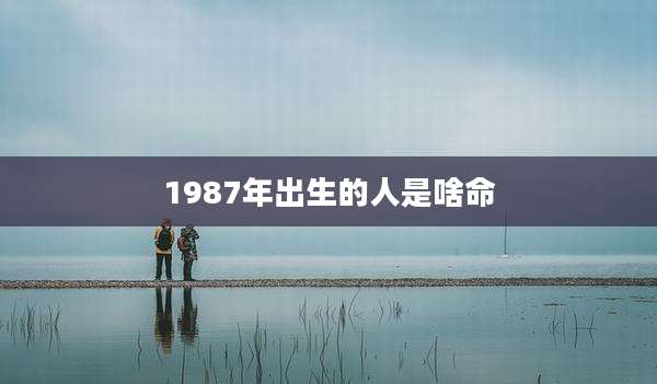 1987年出生的人是啥命