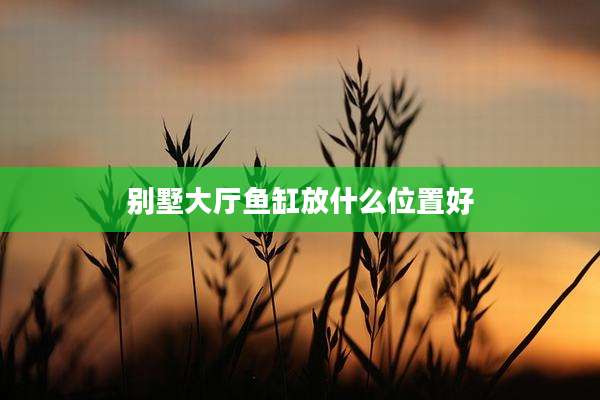 别墅大厅鱼缸放什么位置好