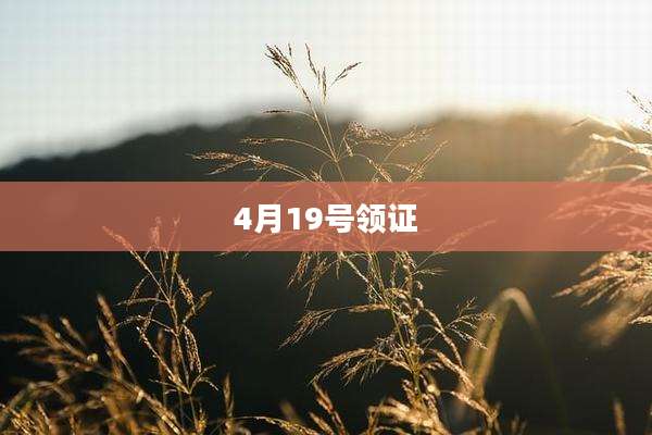 4月19号领证