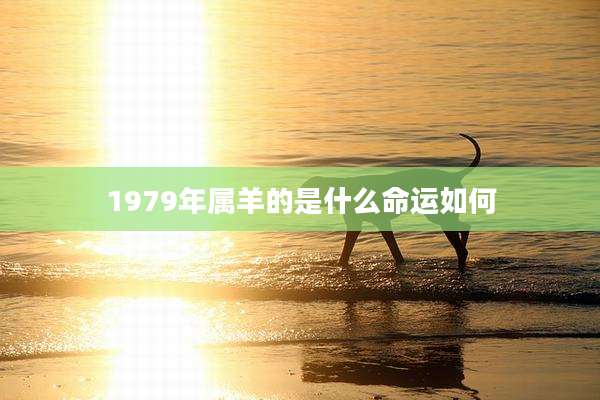 1979年属羊的是什么命运如何