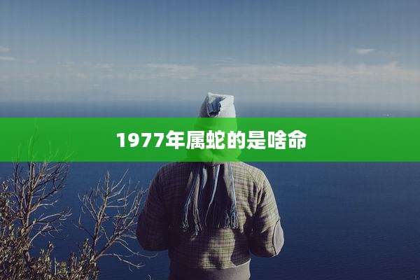 1977年属蛇的是啥命