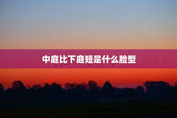 中庭比下庭短是什么脸型