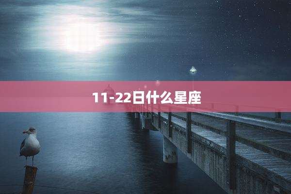 11-22日什么星座