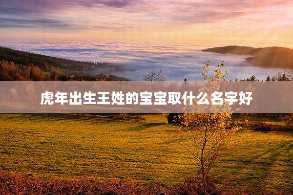 虎年出生王姓的宝宝取什么名字好
