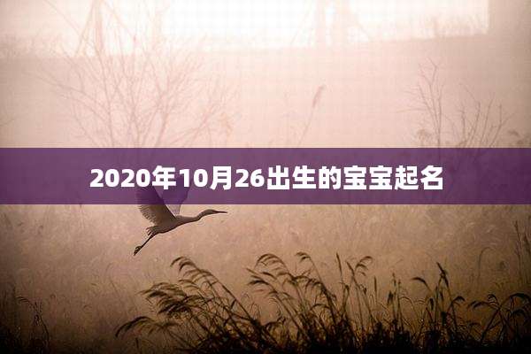 2020年10月26出生的宝宝起名