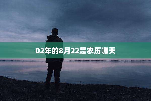 02年的8月22是农历哪天