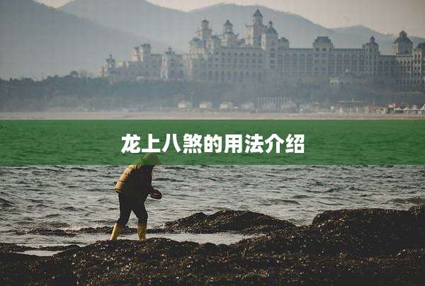 龙上八煞的用法介绍