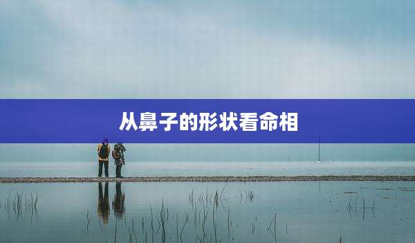 从鼻子的形状看命相