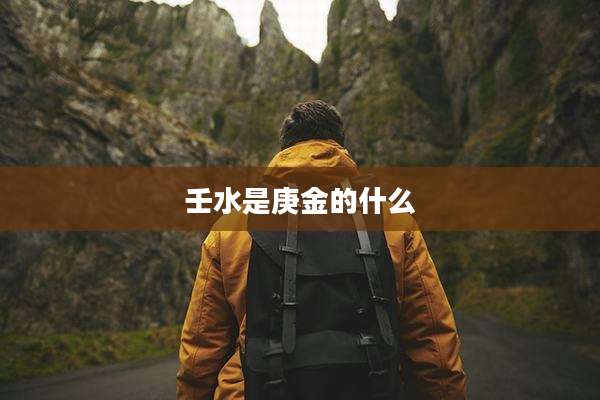 壬水是庚金的什么