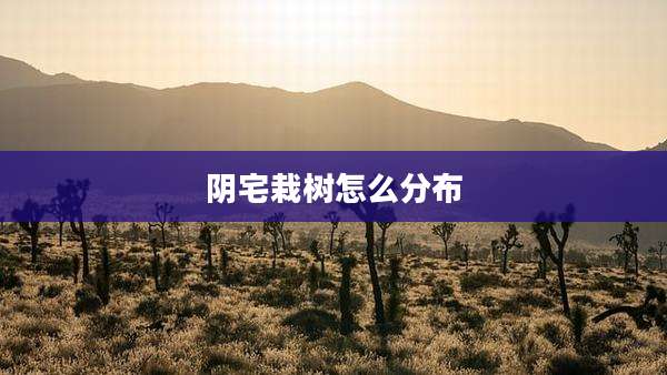阴宅栽树怎么分布