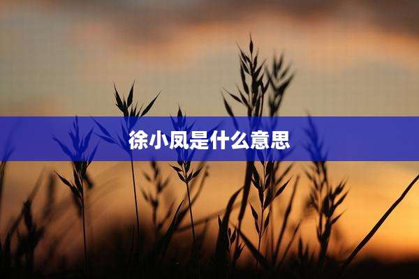 徐小凤是什么意思