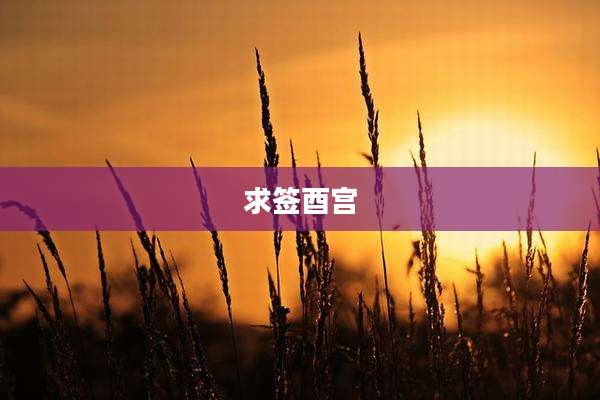 求签酉宫