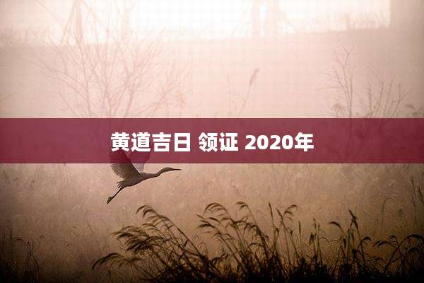 黄道吉日 领证 2020年