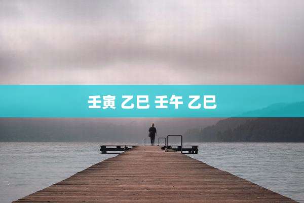 壬寅 乙巳 壬午 乙巳