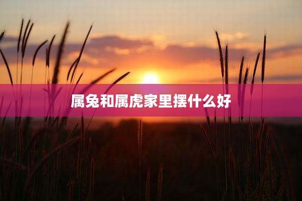属兔和属虎家里摆什么好