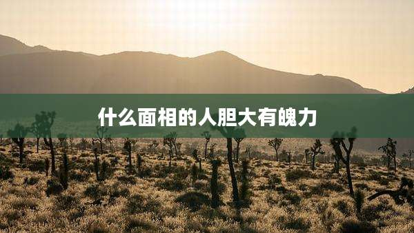 什么面相的人胆大有魄力