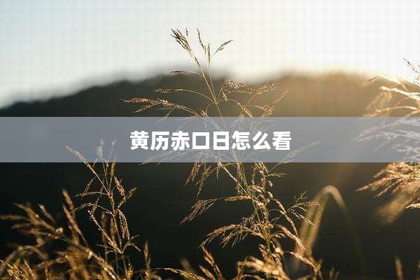 黄历赤口日怎么看