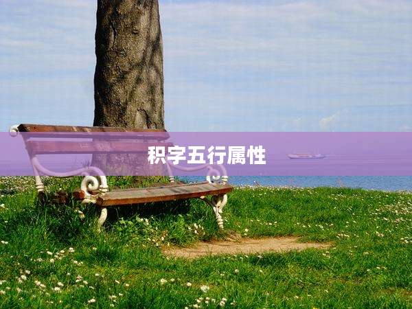积字五行属性