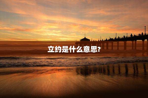 立约是什么意思?