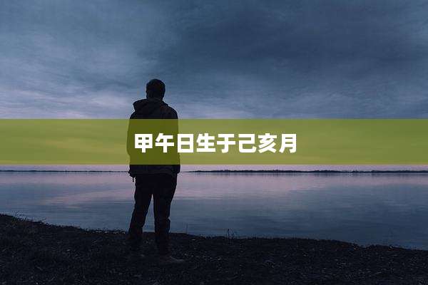 甲午日生于己亥月