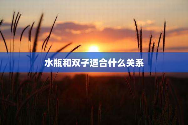水瓶和双子适合什么关系